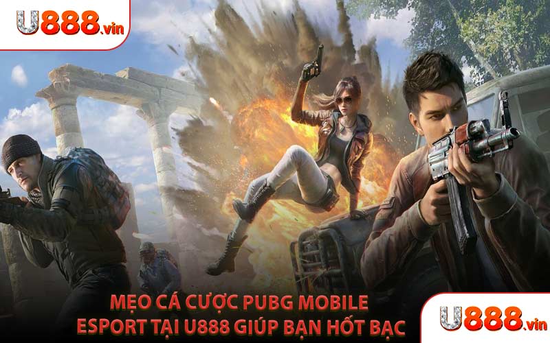 Mẹo Cá Cược Pubg Mobile Esport Tại U888 Giúp Bạn Hốt Bạc