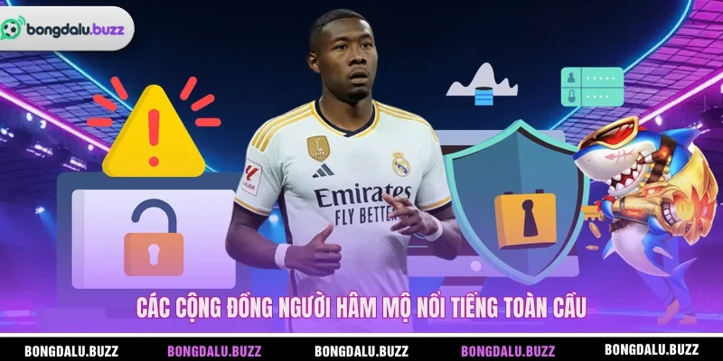 Các cộng đồng người hâm mộ nổi tiếng toàn cầu